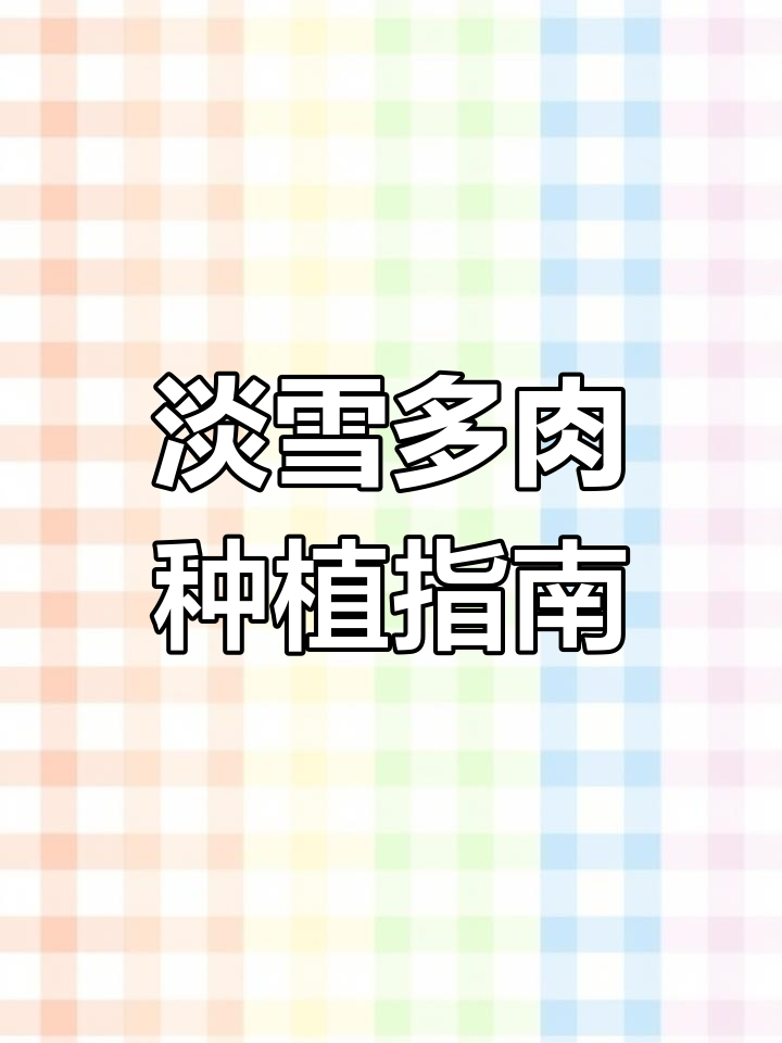 淡雪多肉养护技巧,轻松打造美丽状态