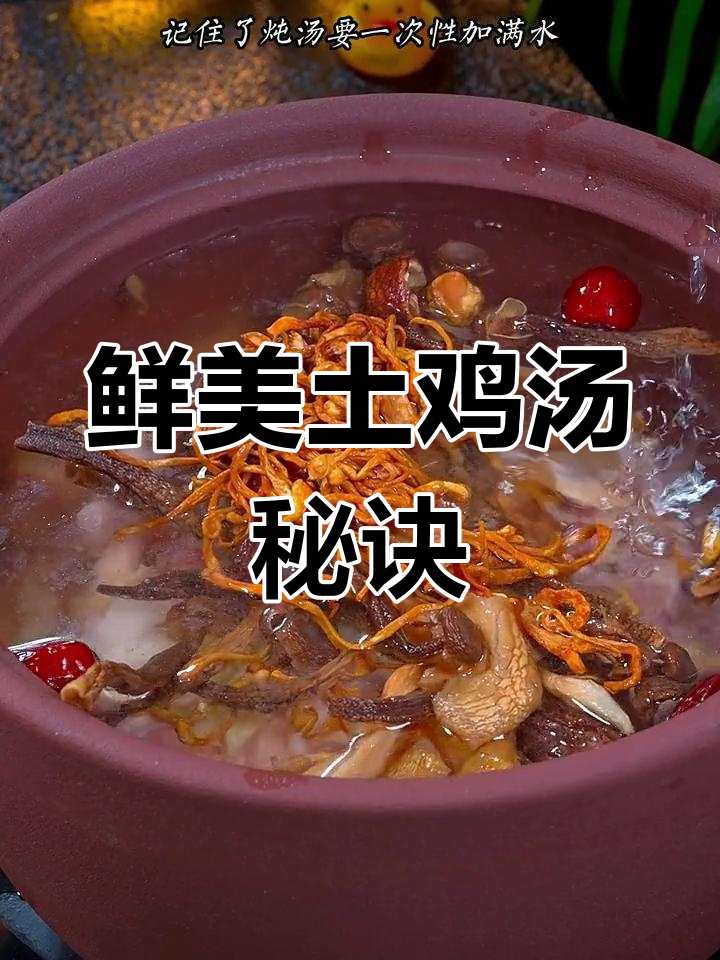 炖土鸡无需焯水,加菌菇更鲜美,做法超简单!