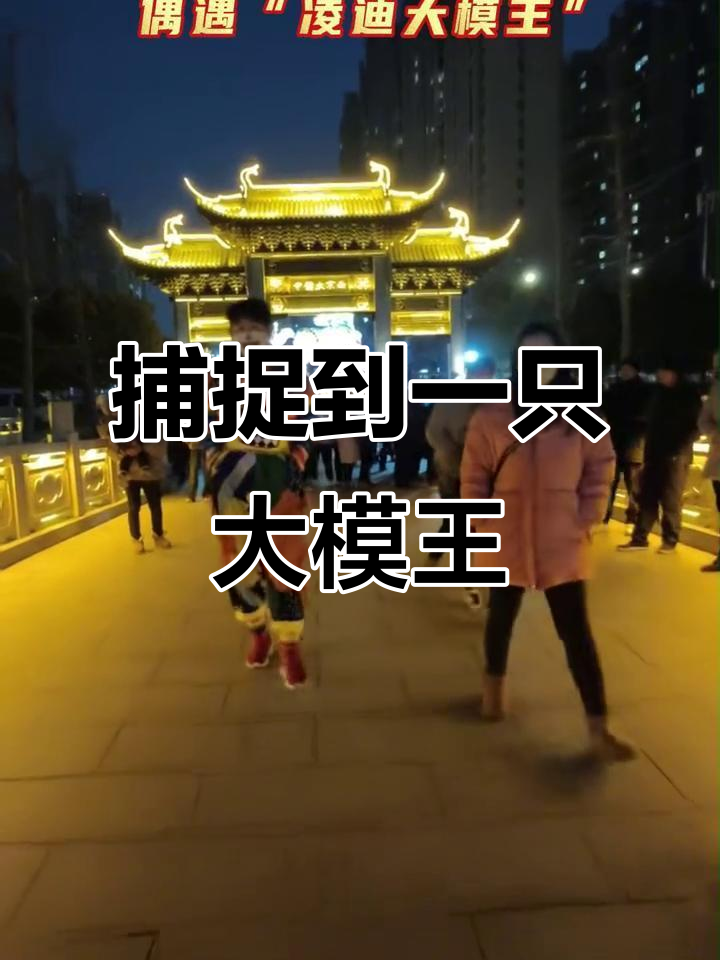 在太仆寺发现罕见“大模王”野生动物,超萌!