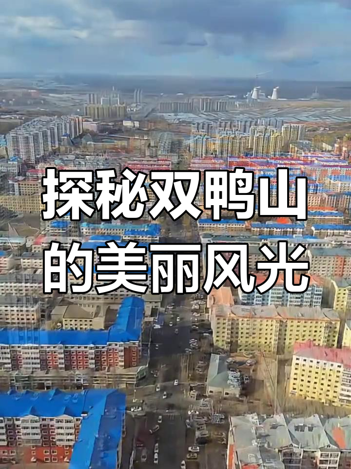 双鸭山:自然美景与珍稀鸟类的完美结合
