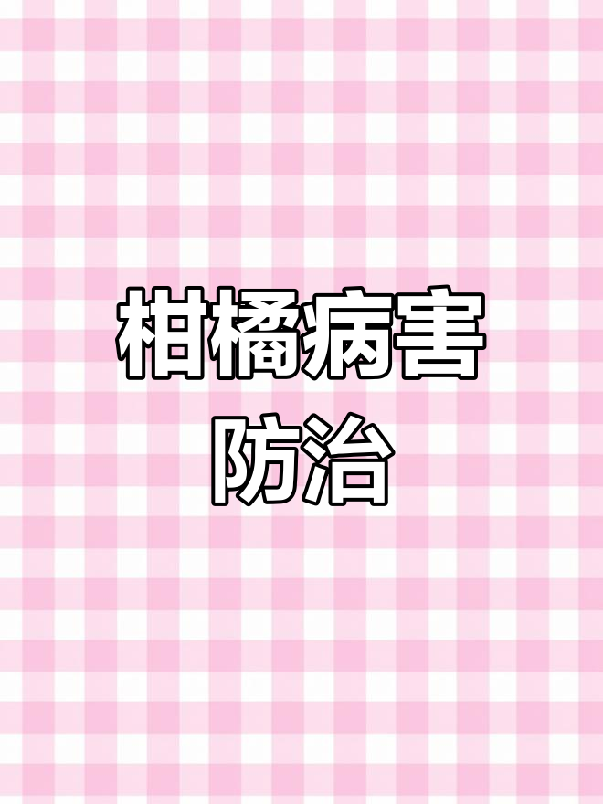 柑橘煤烟病轻松应对,用药技巧全解析!