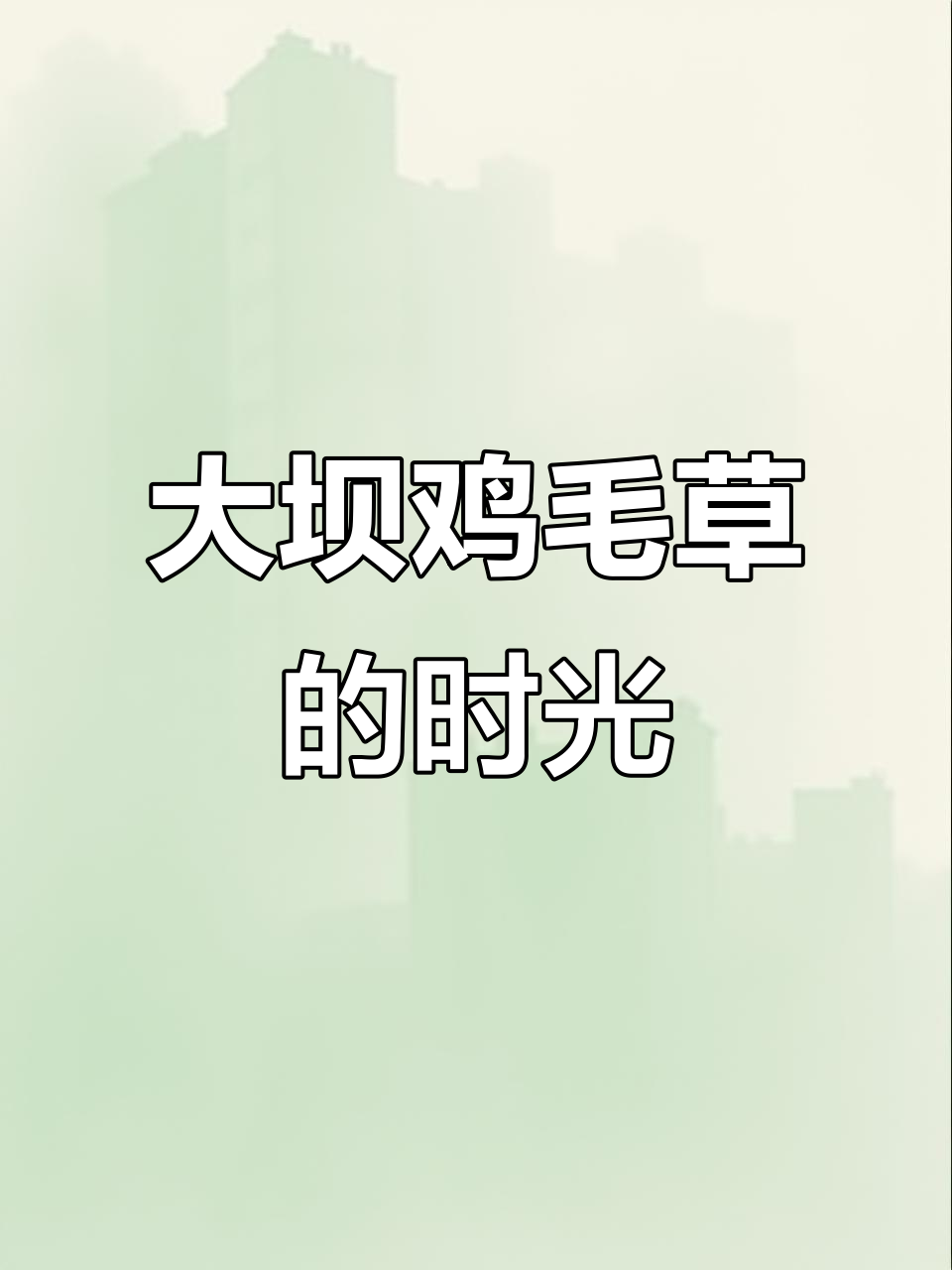 2025年大坝鸡毛草:岁月流转与心灵的自由