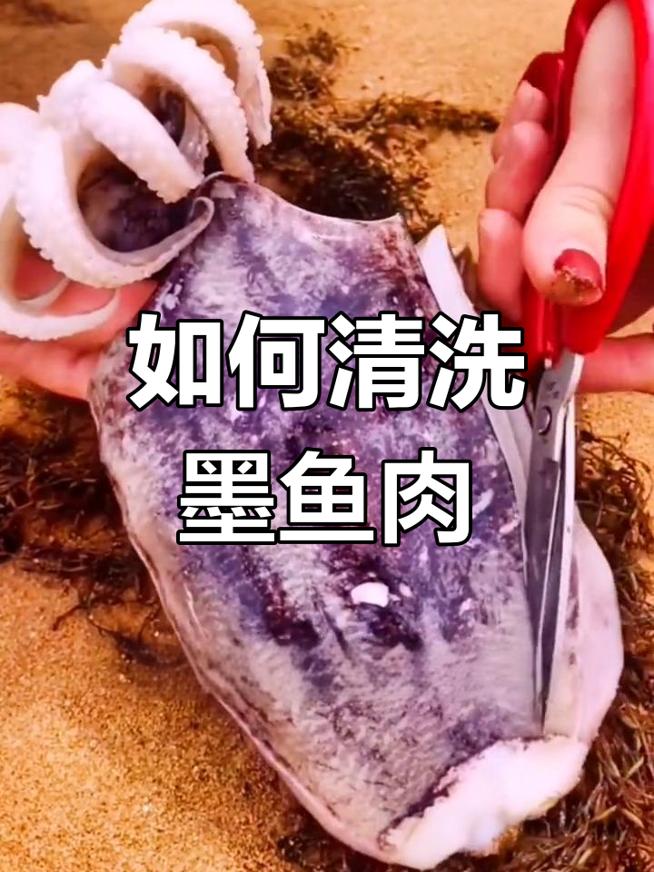 墨鱼清理技巧大揭秘，教你如何轻松享受海鲜美味