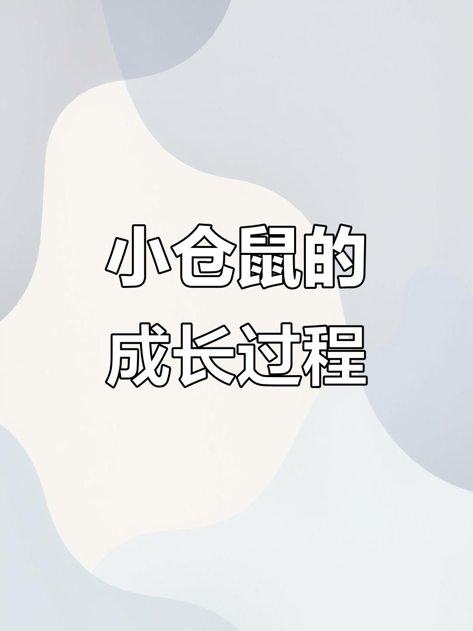 仓鼠成长全纪录:从出生到成年的关键阶段