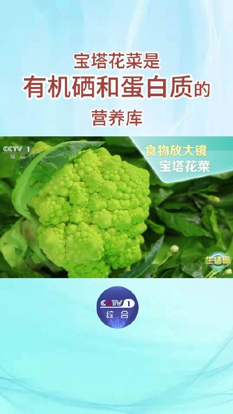「宝塔花菜是有机硒和蛋白质的营养库」别被宝塔花菜奇特的外形吓跑,它的营养超你想象!每百克宝