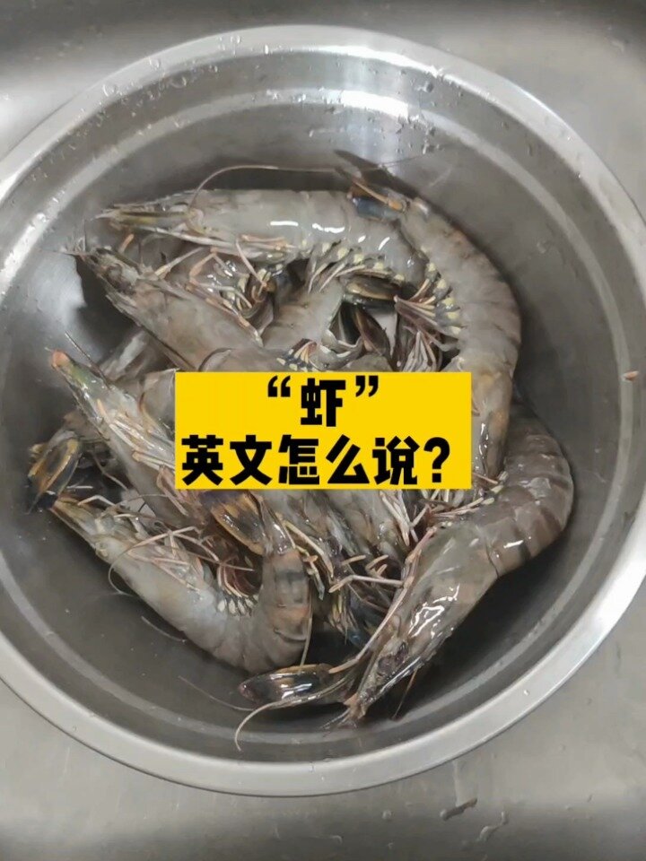 虾的英文