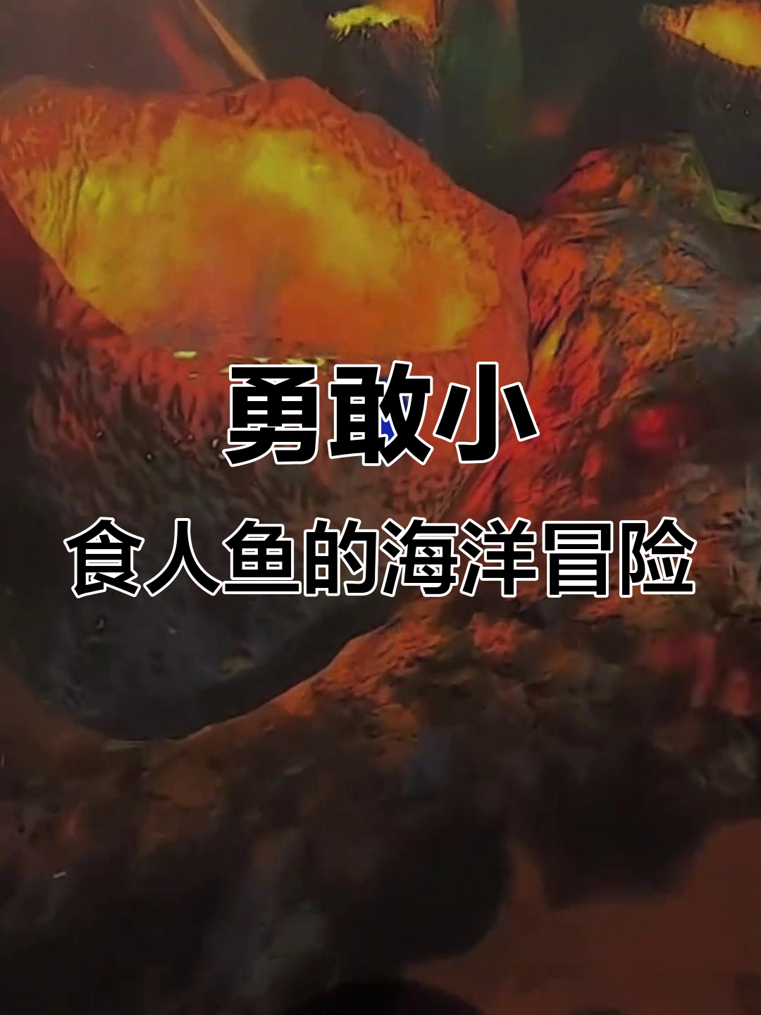 小食人鱼挑战巨齿鲨,竟然被爷爷吃掉!