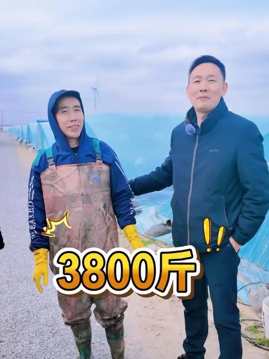 养殖户实测!第一批自动投料机器人设备落地,比人工投喂好的不止一点!沈老板算完收益笑了!