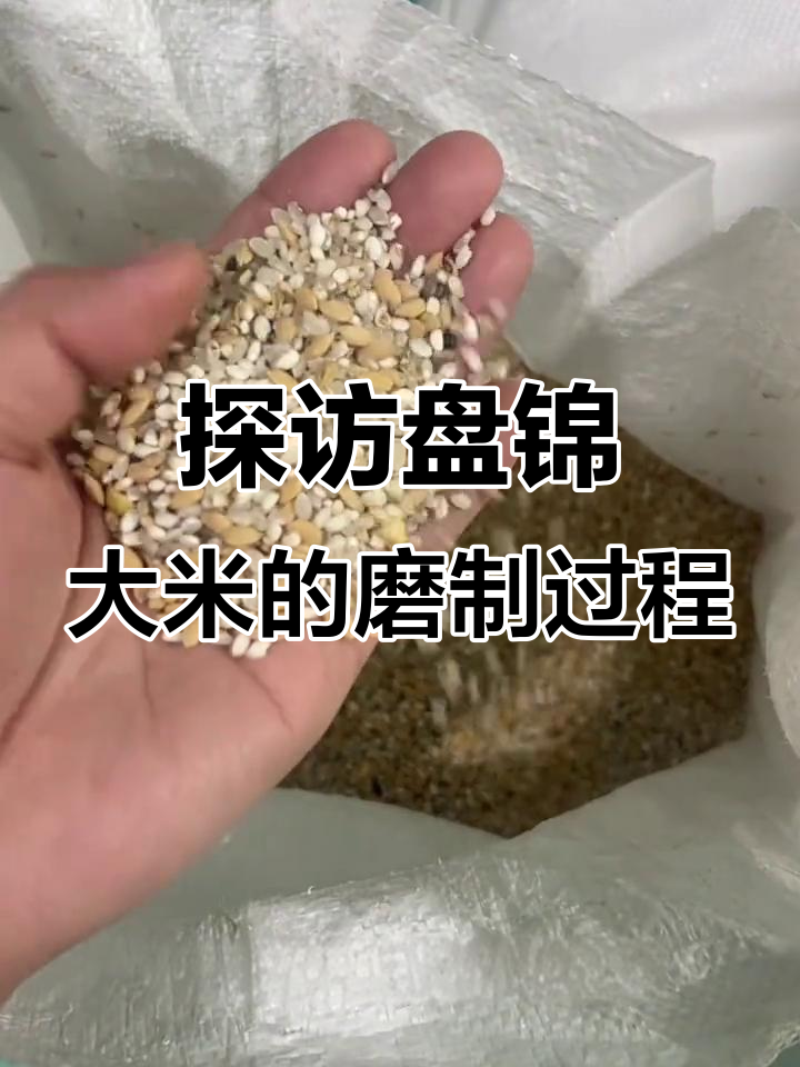 盘锦蟹田大米加工揭秘:从稻子到成米的精细工艺