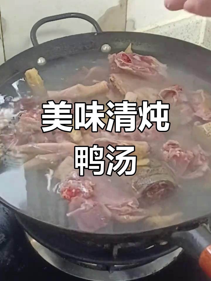 清炖老鸭汤,鲜美不腻,家常做法大揭秘