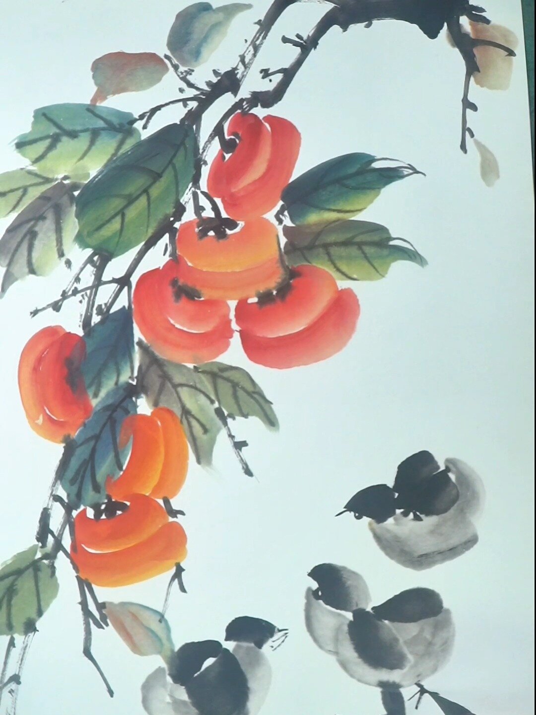 国画柿子小鸡