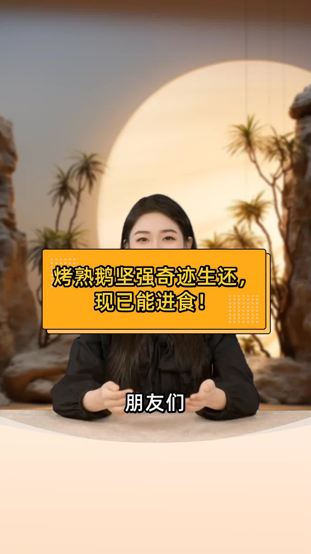 烤熟鹅坚强奇迹生还,现已能进食!