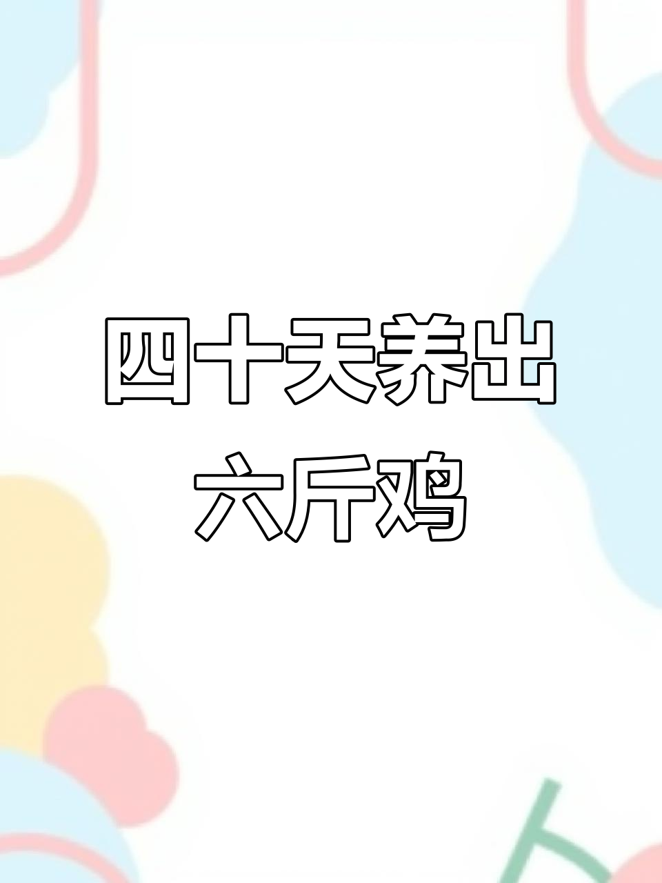 规模化鸡场如何提高效益,四十天就能长到六斤