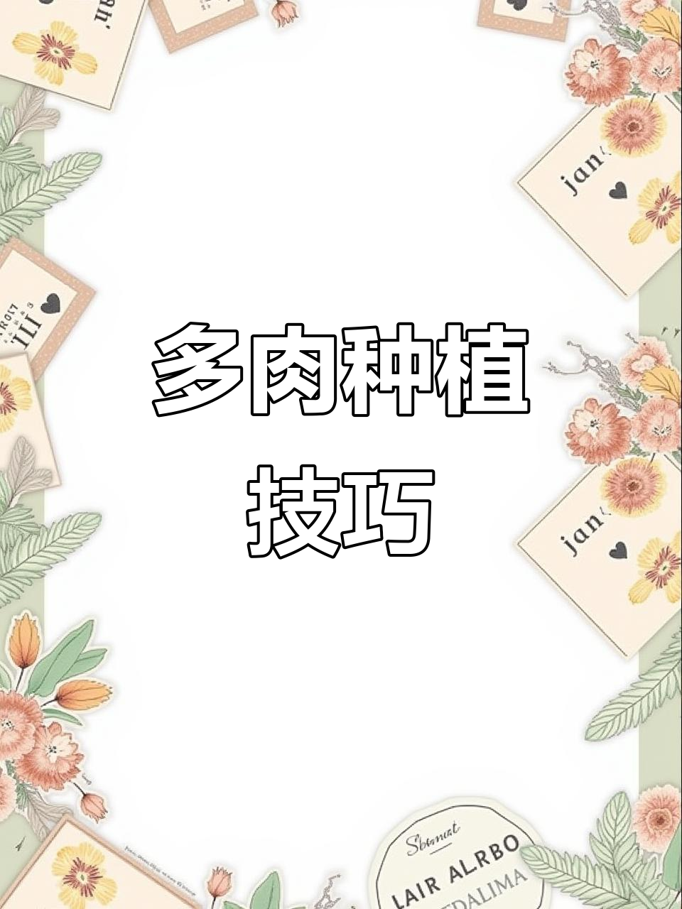 吹雪之松紧养护全攻略,轻松种好多肉