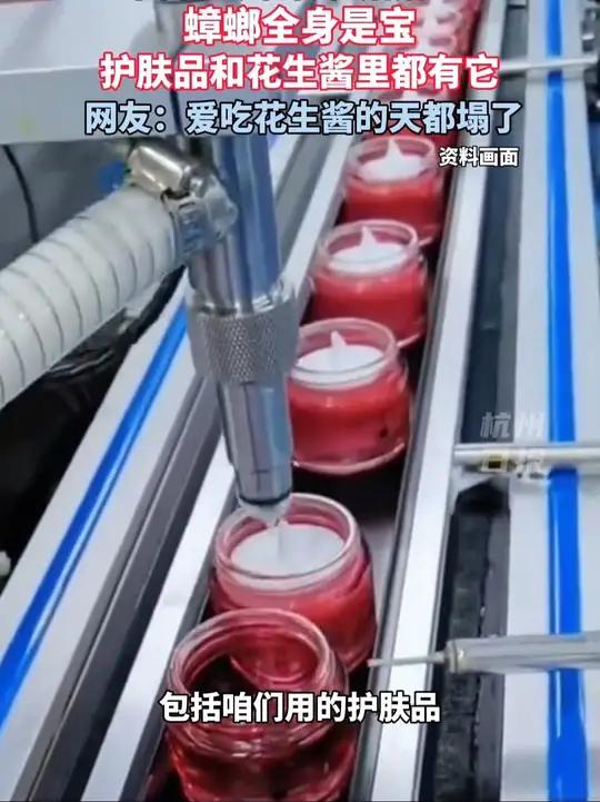 蟑螂全身都是宝?!中科院动物博物馆馆长:护肤品和花生酱里都有蟑螂作为原料