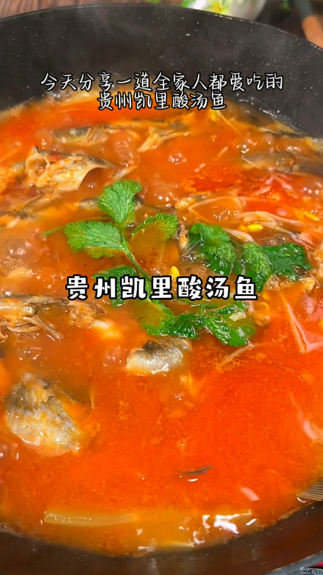 贵州凯里酸汤鱼