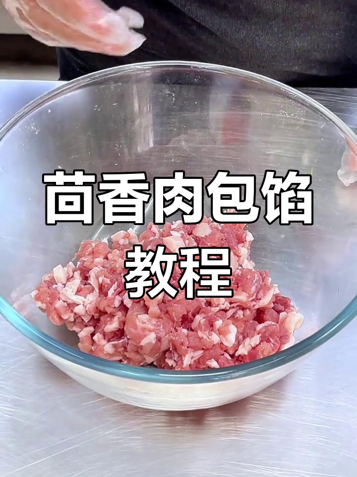 茴香猪肉包子馅的完美制作技巧,轻松学会这道美味