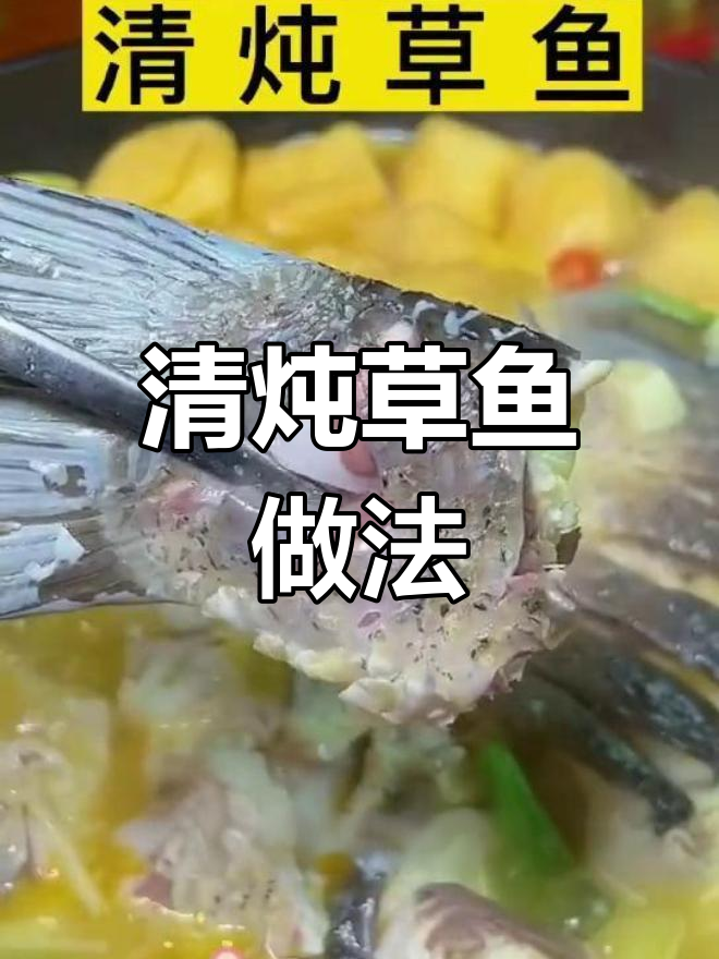 草鱼清炖,鲜美无腥