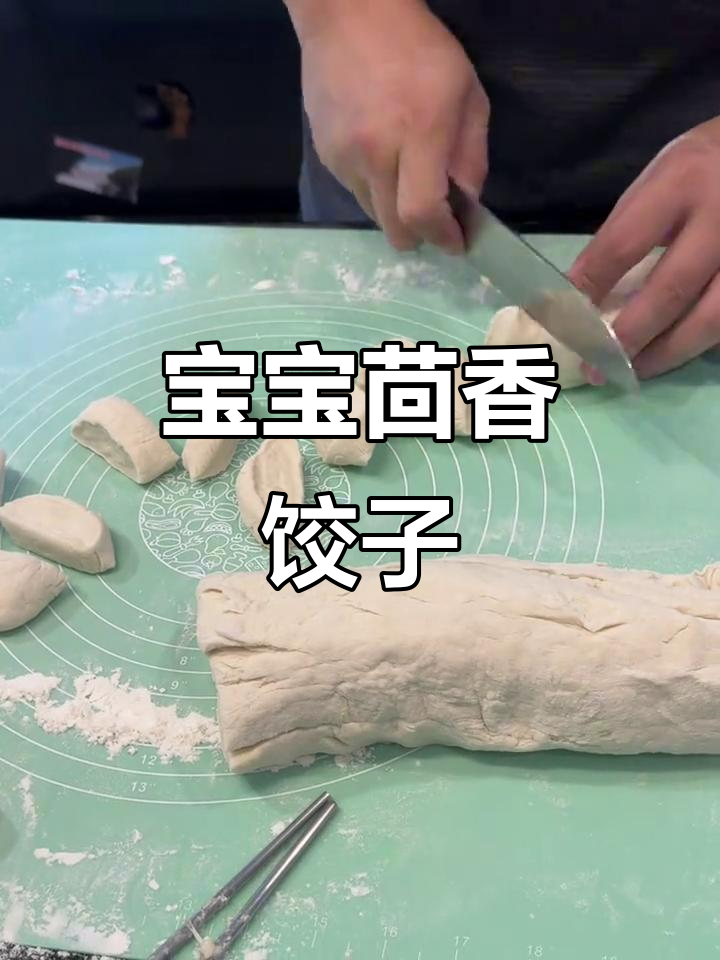 茴香猪肉饺子,宝宝营养午餐轻松做