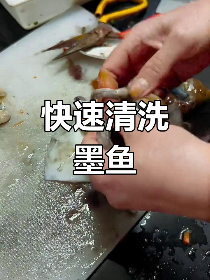 3分钟快速清理墨鱼,轻松搞定海鲜