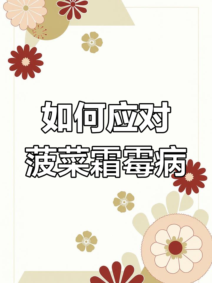 菠菜霜霉病防治技巧:从品种选择到药剂使用全攻略