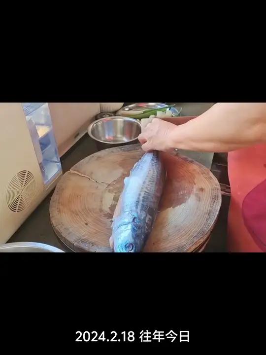 山东烟台正宗鲅鱼水饺,600克鲅鱼肉搅出了3斤半馅,详细教程