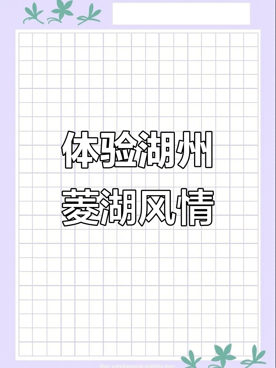 探访湖州菱湖，感受鱼米之乡的独特魅力