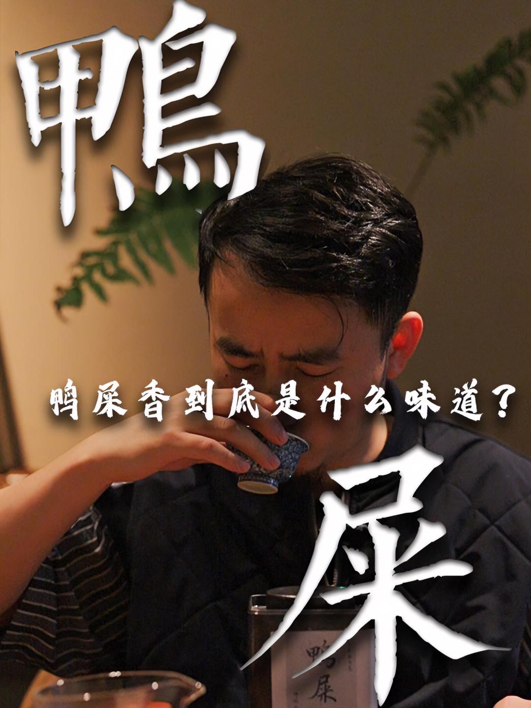 大家觉得鸭屎香是什么味道的呢?召唤茶友 喝茶 茶 鸭屎香 喝茶