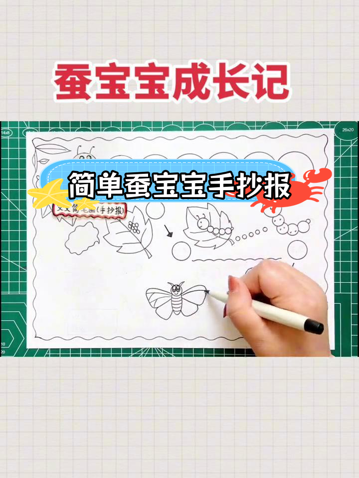 蚕宝宝成长过程绘画教程,轻松学画