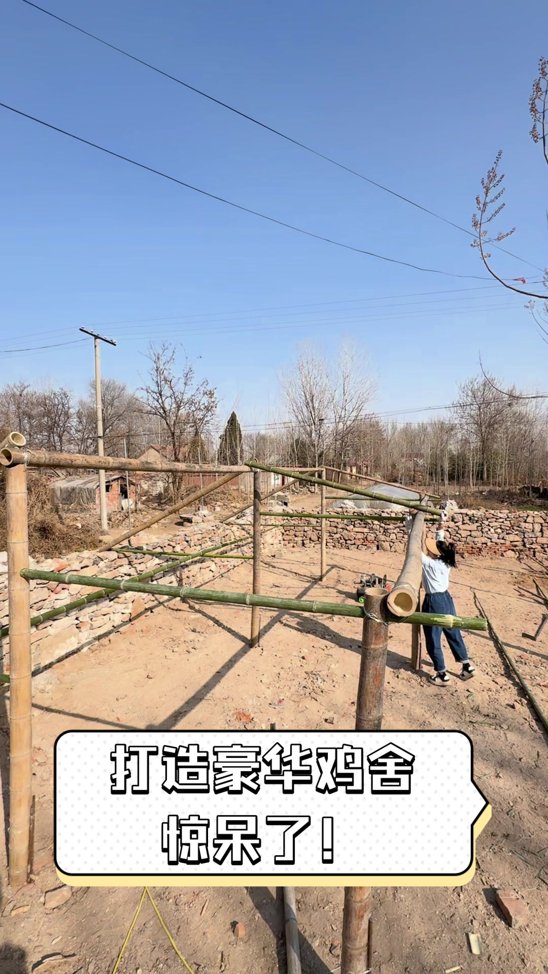 打造豪华鸡舍,惊呆了!