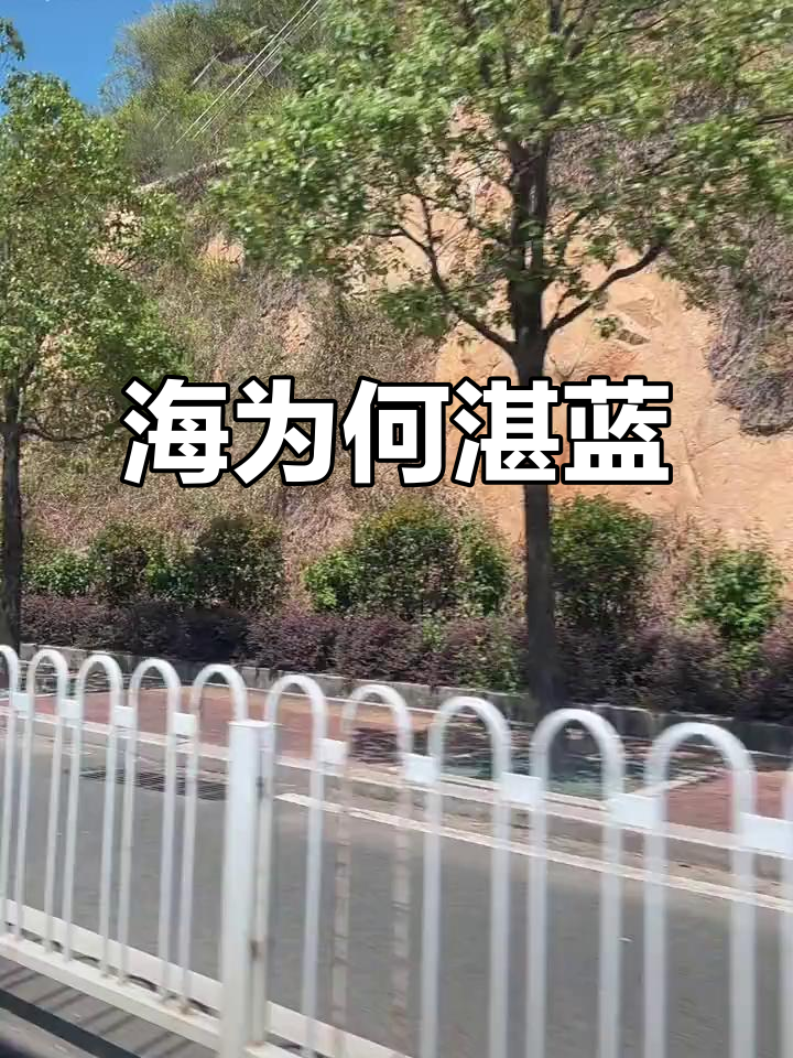 “为什么海是蓝的?因为小鱼在吹泡泡,蓝色泡沫满天飞。”