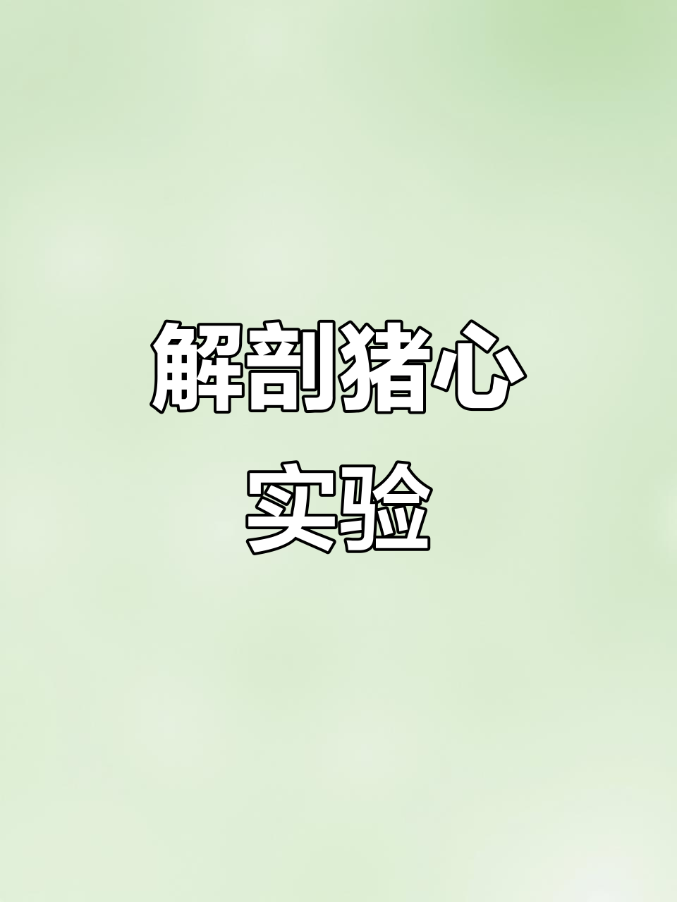 亲手解剖猪心,揭秘心脏结构与功能