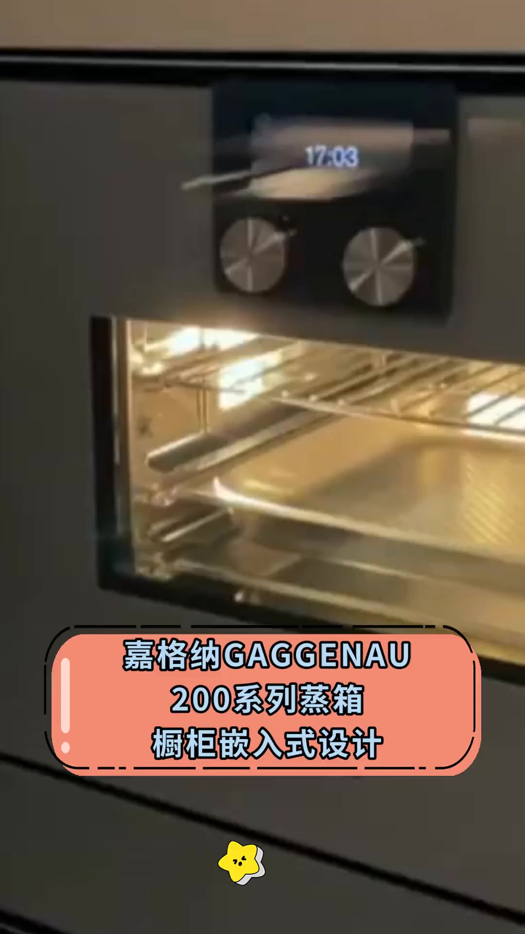 嘉格纳GAGGENAU 200系列蒸箱 橱柜嵌入式设计