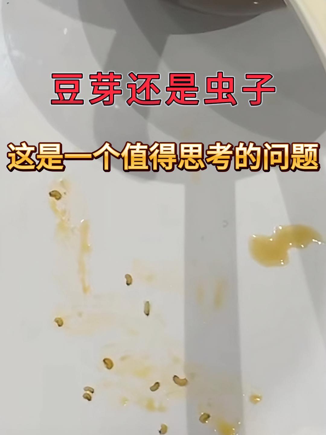 11月21日上海,一女子在张亮麻辣烫就餐时吃出虫子。面对顾客质疑店家硬说不是虫子是豆芽,直