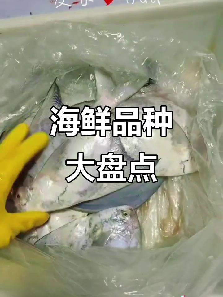 斗鲳鱼、白鲳石斑鱼等海鲜大揭秘,马友拿破仑青衣油扒皮鱼全解析
