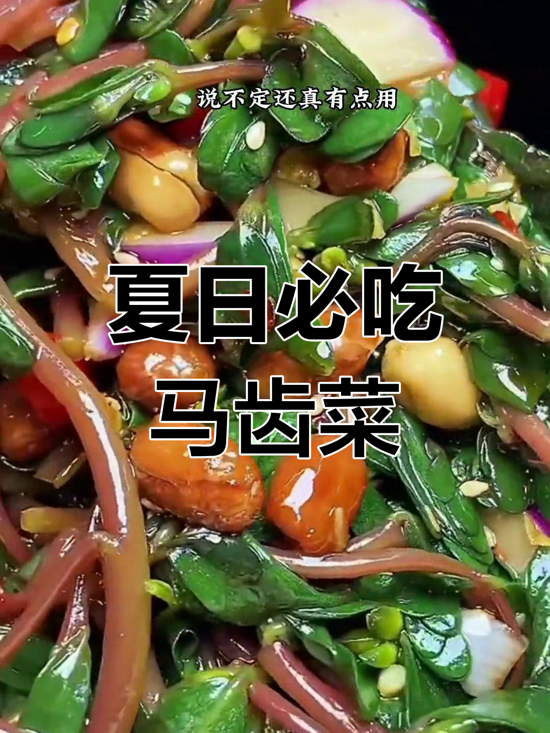 马齿菜的营养与做法
