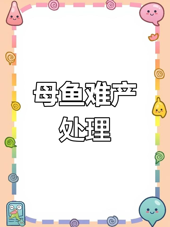 孔雀鱼难产剖腹产全过程,快速分离死胎