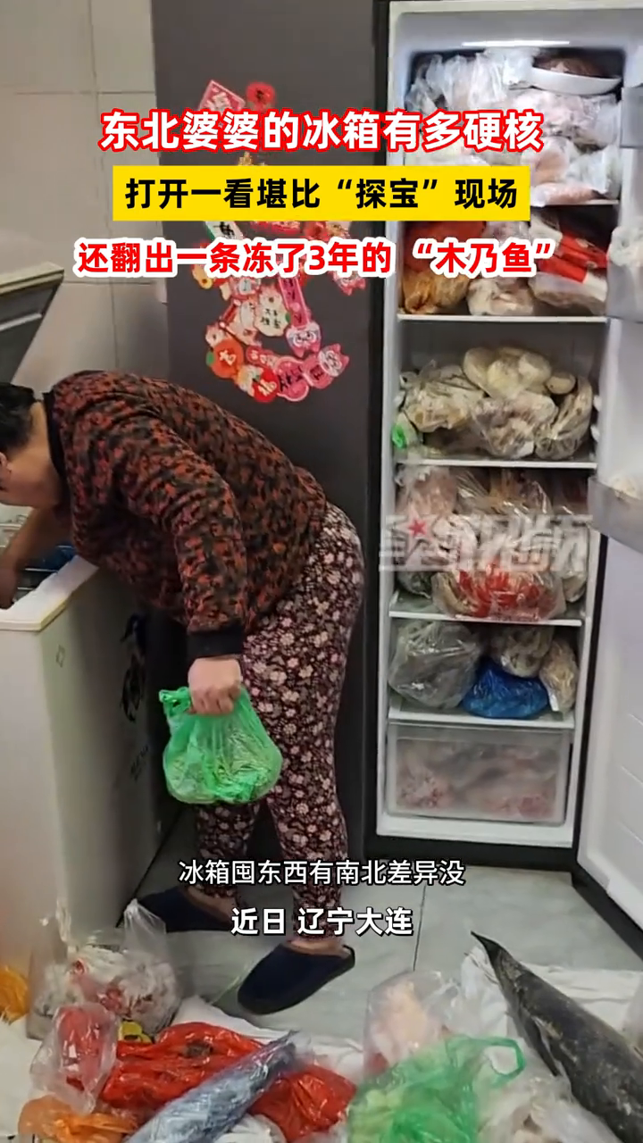东北婆婆的冰箱有多硬核?打开一看堪比“探宝”现场
