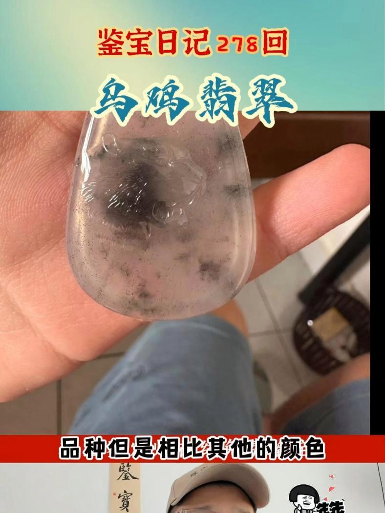 “乌鸡”就是便宜翡翠的代名词!“乌鸡”的本质就是充满了黑色矿物杂质的翡翠!调查一下有多少人