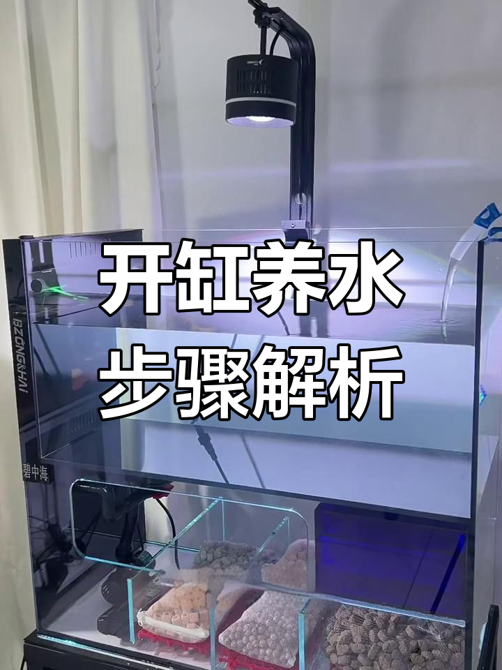 鱼缸开缸养水全攻略,轻松打造清澈水质