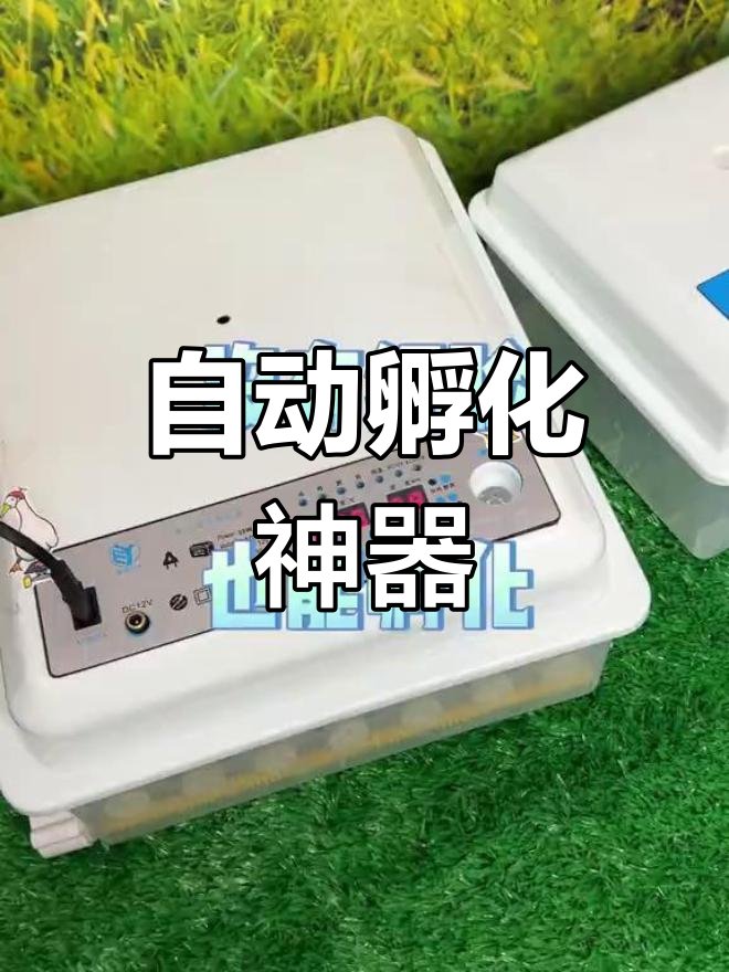 智能孵化器轻松孵出小鸡,全程自动化操作