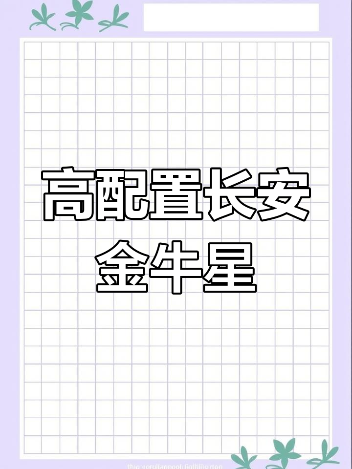 长安金牛星高配面包车,七座电动门窗,性价比超高