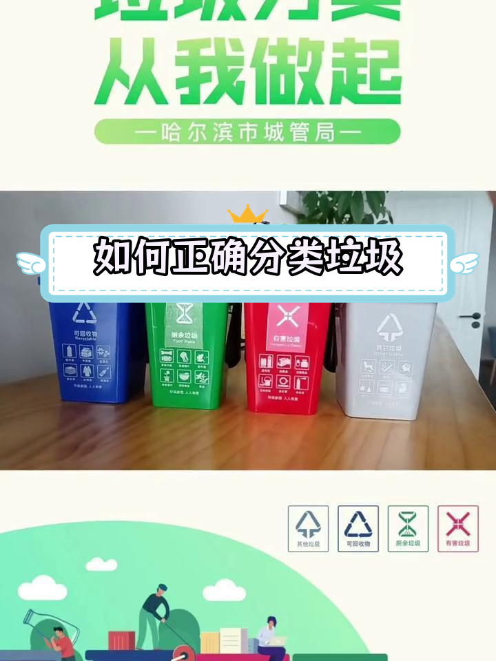 垃圾分类全攻略:木质梳子、鸡蛋壳和烟蒂的归属