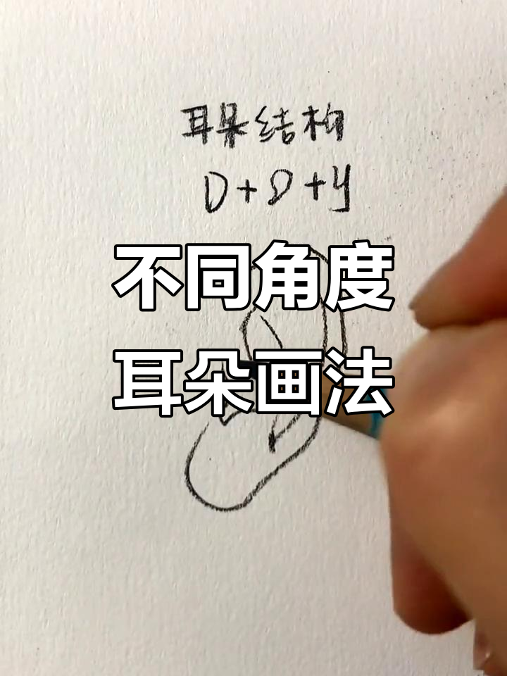 耳朵结构与角度分析,素描入门必学技巧