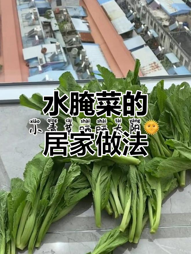 宅家也能做出美味水腌菜，简单又开胃！