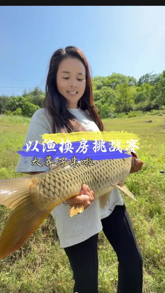 从来没有想过有这么艰难的鱼情,在几十天不懈努力的坚守下终于上大莽子啦!