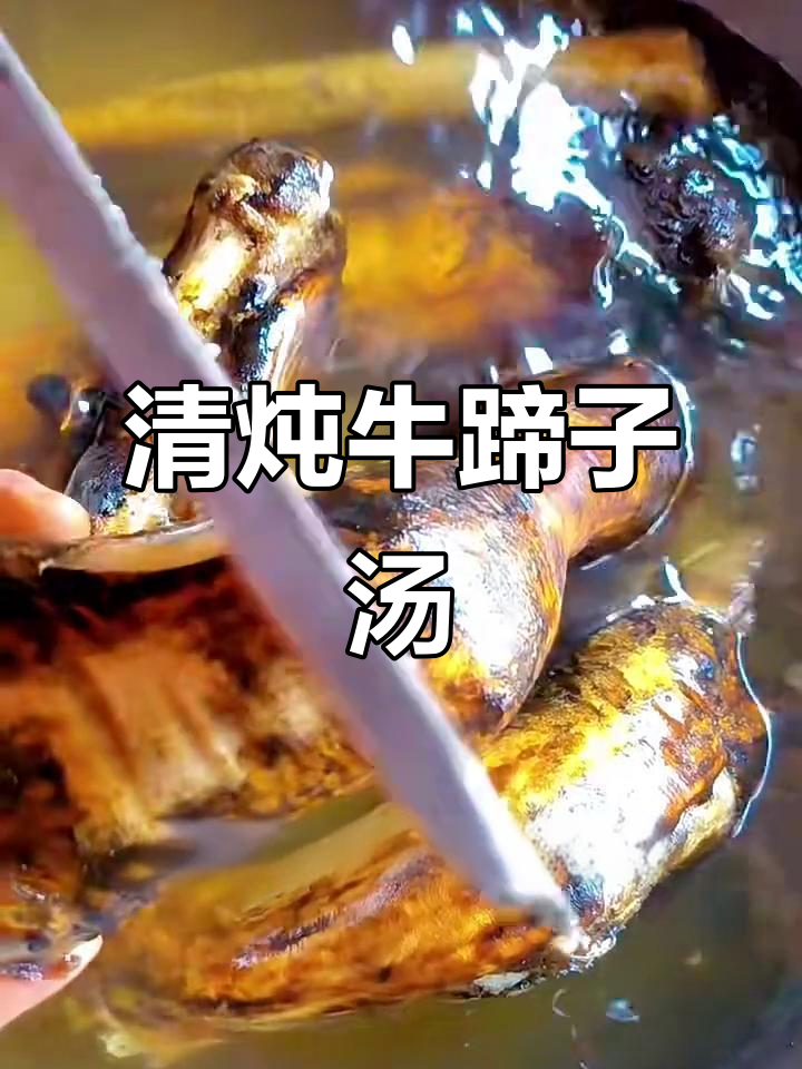 炖牛蹄子汤,满满胶原蛋白,口感鲜美又滋补