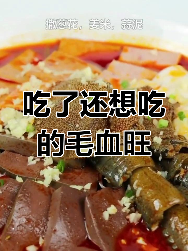 经典川菜毛血旺,麻辣过瘾