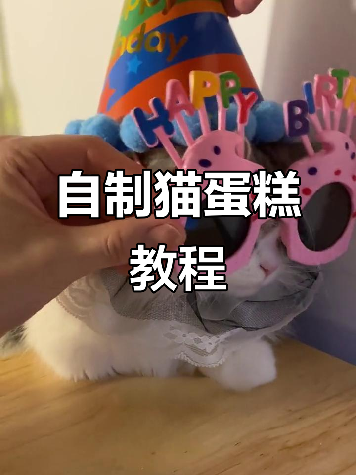 疫情期间自制猫咪生日蛋糕，简单又美味！