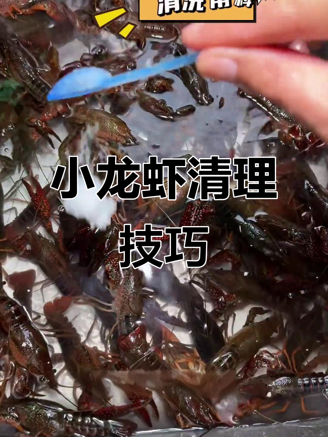 清洗小龙虾的秘密:盐醋酒巧去污渍